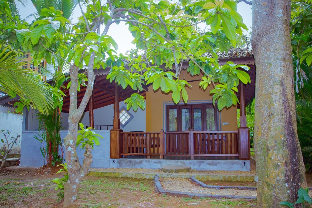 Birds Paradise * Unawatuna