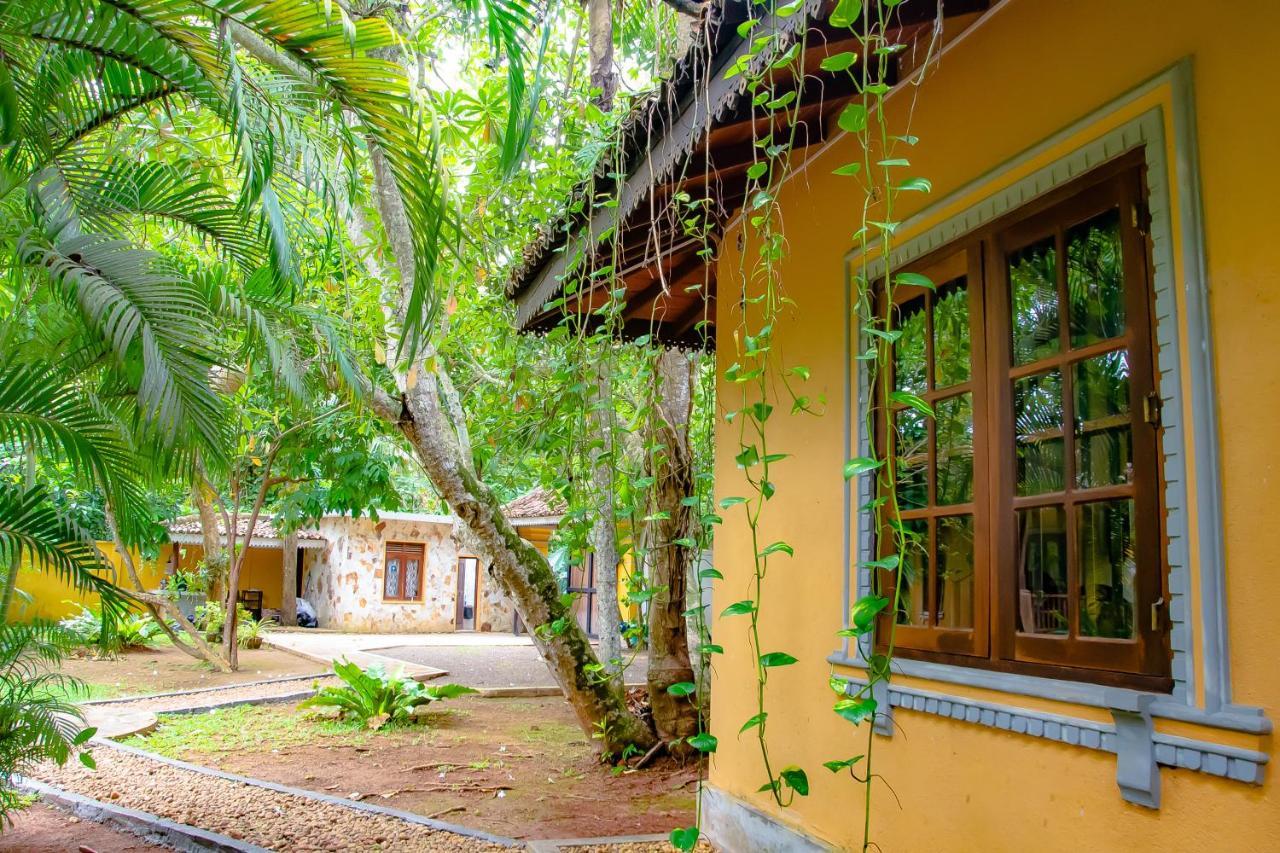 Birds Paradise * Unawatuna